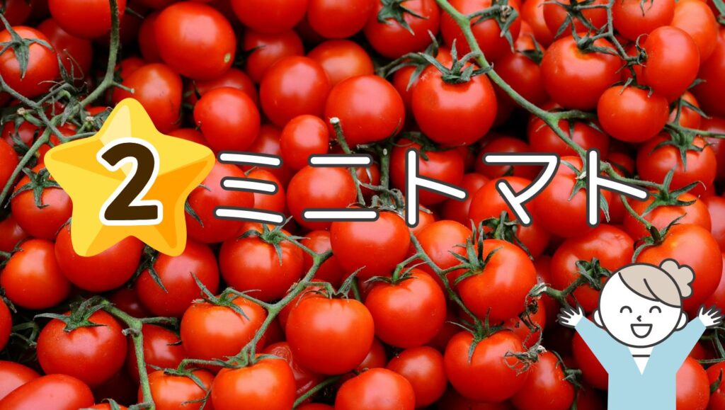 【初心者さんにおすすめ夏野菜 その２】畑の女王様！ミニトマト