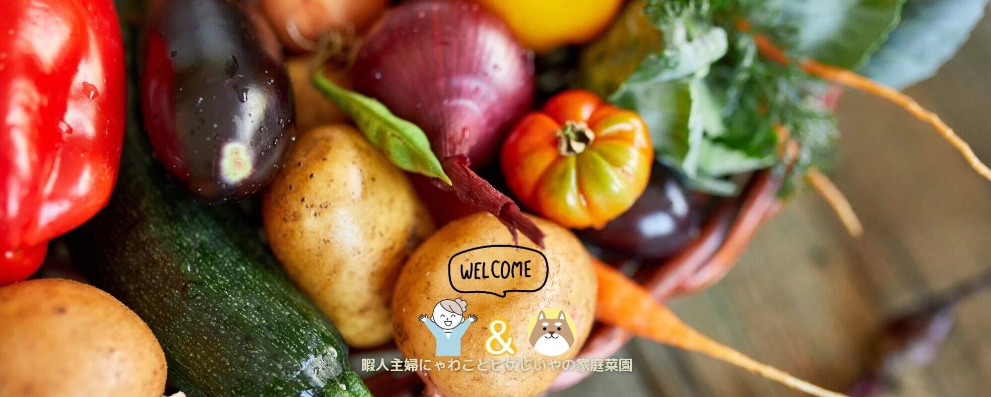 兼業主婦にゃわことヒゲじいやの週末家庭菜園 家庭菜園初心者向け