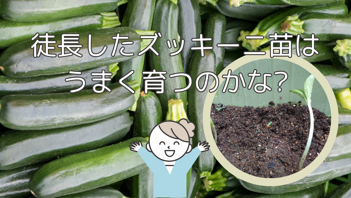 家庭菜園初心者 ズッキーニ育て方 栽培方法