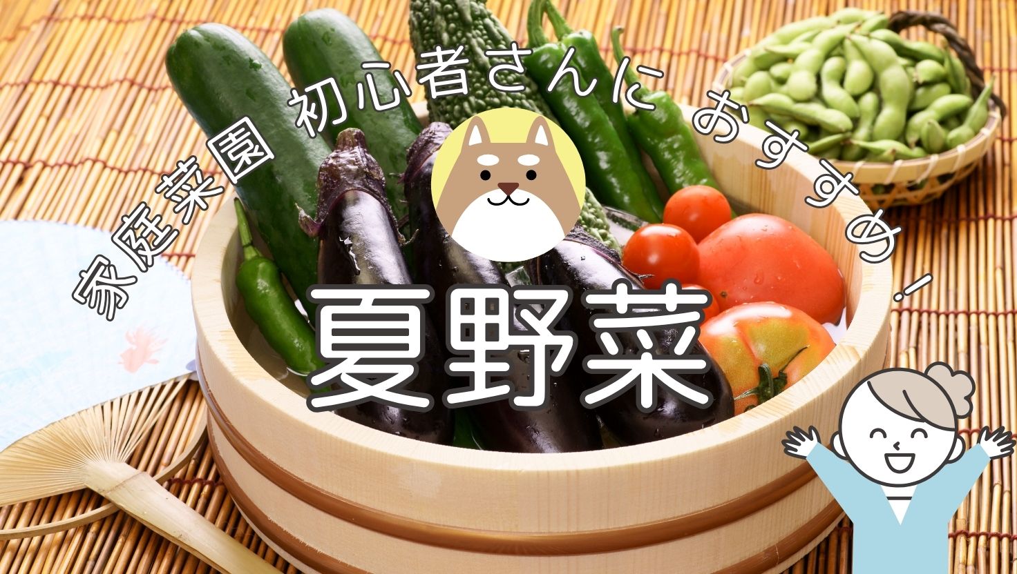 家庭菜園初心者 育てやすい夏野菜 栽培 育て方