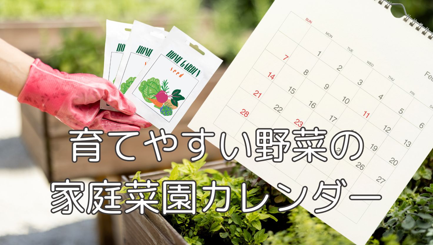 兼業主婦にゃわことヒゲじいやの週末家庭菜園_家庭菜園初心者向け 育てやすい野菜の家庭菜園カレンダー